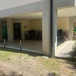 Affitto 3 camera appartamento di 45 m² in Follonica