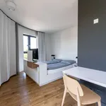 Rent 1 bedroom apartment of 38 m² in berlin