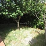 4-room flat excellent condition, ground floor, Monte Morello, Cercina, Sesto Fiorentino