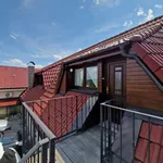 Pronajměte si 4 ložnic/e byt o rozloze 164 m² v Miřetice