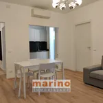 Rent 1 bedroom apartment of 60 m² in padova