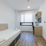 Rent 1 bedroom apartment in madrid