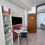 Rent 9 bedroom apartment in Trento