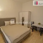 Rent 1 bedroom apartment of 30 m² in Prague