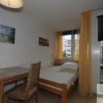 Rent 1 bedroom apartment of 42 m² in Nuremberg