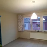 Rent 1 bedroom apartment in Leuven