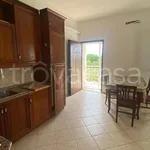 Rent 3 bedroom apartment of 66 m² in Zagarolo