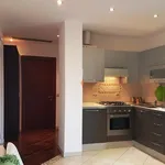 Rent 1 bedroom apartment in Milan