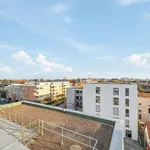 Rent 2 bedroom apartment of 53 m² in Nuremberg