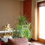 Rent 3 bedroom apartment of 110 m² in Milano