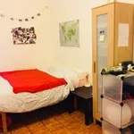 Rent 1 bedroom apartment of 30 m² in Roma