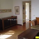 Rent 3 bedroom apartment of 95 m² in Padenghe sul Garda