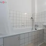 Rent 1 bedroom apartment of 326 m² in Praha