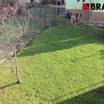 Rent 1 bedroom apartment of 15 m² in Brno