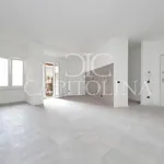 Rent 1 bedroom apartment of 65 m² in Roma