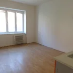 Pronajměte si 2 ložnic/e byt o rozloze 58 m² v Prague