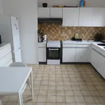 Rent 1 bedroom apartment in Mechelen