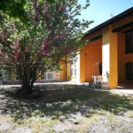 Rent 4 bedroom apartment of 100 m² in Modena