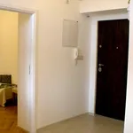 Rent 1 bedroom apartment of 45 m² in Krakow