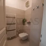 Pronajměte si 2 ložnic/e byt o rozloze 63 m² v Prague