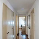 Rent 6 bedroom apartment in Valencia