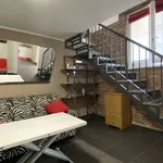 Rent 1 bedroom apartment of 50 m² in milan