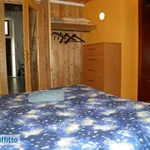 Rent 3 bedroom apartment of 60 m² in Turin