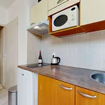 Appartement de 344 m² avec 1 chambre(s) en location à Lyon