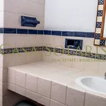 Rent 1 bedroom apartment in Guanajuato