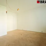 Rent 4 bedroom apartment of 115 m² in Brno