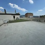 Rent 5 bedroom house of 286 m² in Turin