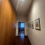 Rent 4 bedroom apartment of 100 m² in Bologna