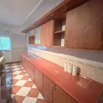 Rent 2 bedroom house of 300 m² in budapest