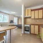 Rent 1 bedroom apartment in Praha - východ