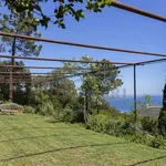 Rent 4 bedroom house of 140 m² in Monte Argentario