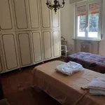 Rent 4 bedroom apartment of 100 m² in Pavia