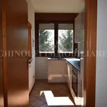 Rent 2 bedroom apartment of 71 m² in Bologna