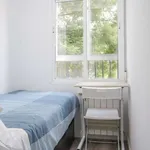 Rent a room in madrid