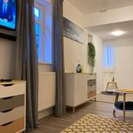 Cozy 2-room flat, well connected, in Frankfurt's green suburbs, Friedrichsdorf - Amsterdam Apartments for Rent