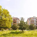 Rent 4 bedroom apartment of 116 m² in Arese