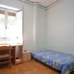 Rent a room of 12 m² in rome