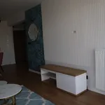 Rent 2 bedroom apartment of 50 m² in Zielona Góra