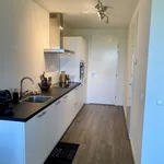 Studio van 538 m² in 's-Hertogenbosch