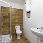 Rent 1 bedroom apartment of 47 m² in Ústí nad Labem