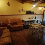 Rent 1 bedroom house of 25 m² in Pisa