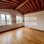 Rent 5 bedroom apartment of 200 m² in Lucca