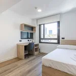 Rent 1 bedroom apartment in madrid