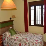 Alquilo 1 dormitorio apartamento de 35 m² en Cadiz']