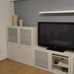 Pronajměte si 1 ložnic/e byt o rozloze 55 m² v Prague