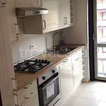 Rent 3 bedroom apartment of 85 m² in Trento